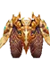 Pants M Omega
